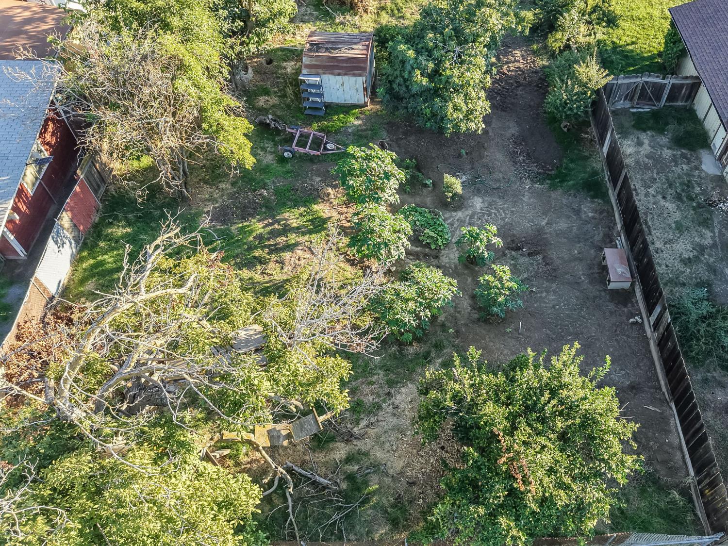 831 Rayser St, Kingsburg, CA 93631